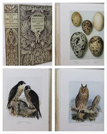 J. Lewis Bonhote - Birds of Britain and Their Eggs - 1930