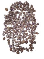 Pull Muttai Schelpen Lila 500 gram, Ophalen of Verzenden, Nieuw