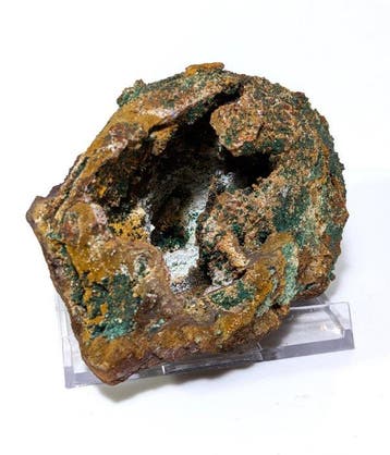 Unieke vondst van een fossiele schelp met koperadamiet, uit, Verzamelen, Mineralen en Fossielen