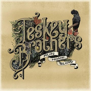 lp nieuw - the teskey brothers - Run Home Slow (nieuw), Verzenden, Zo goed als nieuw, Overige formaten