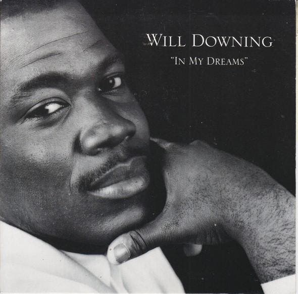 Will Downing - In My Dreams, Cd's en Dvd's, Vinyl | Pop, Gebruikt, Ophalen of Verzenden