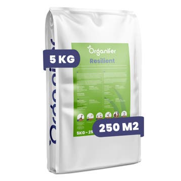 Gazonherstelzaad - Veerkrachtig (5 kg voor 250 m2), Verzenden, Gehele jaar, Volle zon