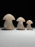 Geen minimumprijs - Prachtige set van 3 Lace Agate.