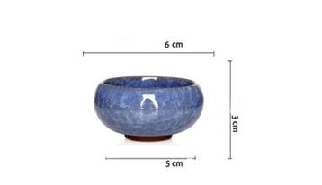Set van 6 Porseleinen Kung Fu Theekopjes met Crackle Glazuur, Verzenden, Nieuw