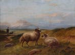Charles Jones (1836-1892) - Sheep