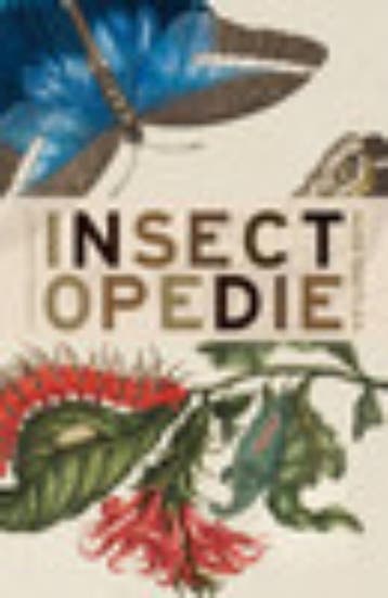 Insectopedie - Hugh Raffles 9789025435271, Verzenden, Gelezen, Hugh Raffles