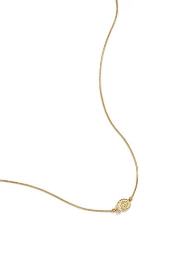 Goudlief Minimalistische ketting met spiraalschelpje, Sieraden, Tassen en Uiterlijk, Kettingen, Verzenden, Nieuw, Zilver, Overige materialen