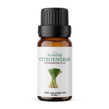 Etherische Olie Citroengras - BIO - 10ml | Scentulp, Verzenden, Nieuw