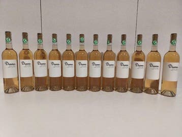 2024 Rosé Diane, Maison Ventenac - Languedoc - 12 Flessen, Nieuw