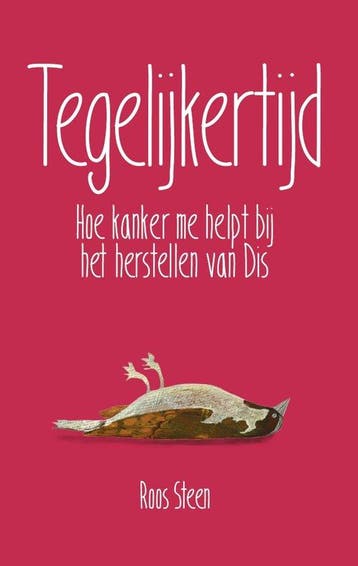 9789083469904 Tegelijkertijd Roos Steen, Verzenden, Nieuw, Roos Steen