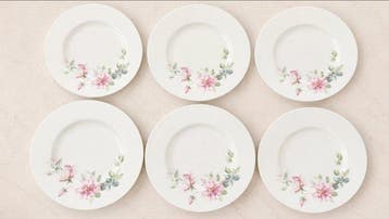 Limoges - 6 assiettes en porcelaine de Limoges, fabriqué par