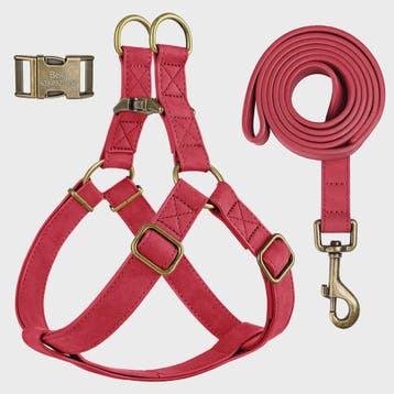 Luxe PU Leder Hondentuig met Leash en Gepersonaliseerde ID G, Verzenden, Nieuw