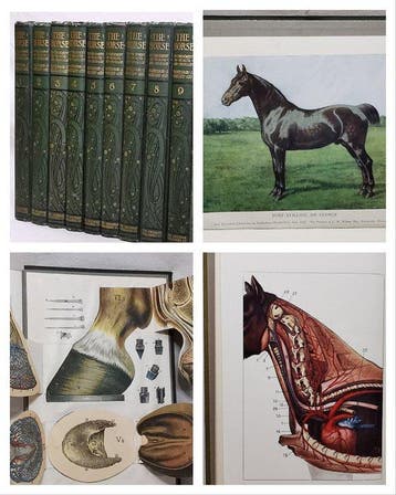 Prof. J. Wortley Axe - The Horse Its Treatment In Health And