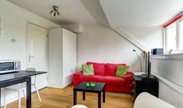 Te Huur Studio Barentszstraat In Den Haag, 20 tot 35 m², Den Haag