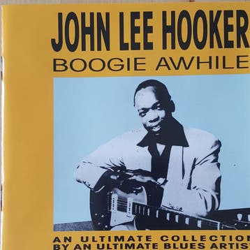 cd - John Lee Hooker - Boogie Awhile, Verzenden, Zo goed als nieuw