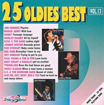 Various - 25 Oldies Best Vol. 13, Ophalen of Verzenden, Gebruikt