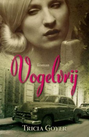 Vogelvrij - Tricia Goyer 9789029795821, Boeken, Verzenden, Gelezen, Tricia Goyer