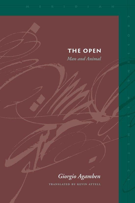 Open, Boeken, Literatuur, Ophalen of Verzenden