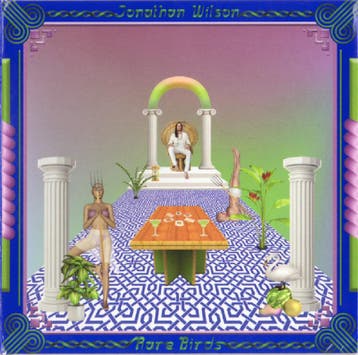 cd digi - Jonathan Wilson - Rare Birds, Verzenden, Zo goed als nieuw