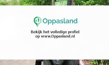 Ik ben Lianne, 32 jaar oud en ik zoek oppaswerk in Landgr..., Diensten en Vakmensen, Oppas en Kinderopvang