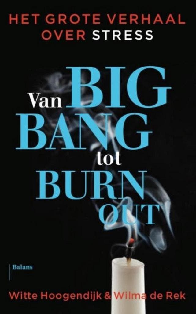 Van big bang tot burn-out 9789460031908 Witte Hoogendijk, Boeken, Politiek en Maatschappij, Zo goed als nieuw, Verzenden
