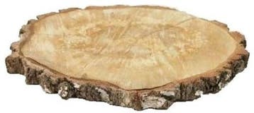 Boomstamschijf Berkenschijf ca. 35 cm, Ophalen of Verzenden, Nieuw