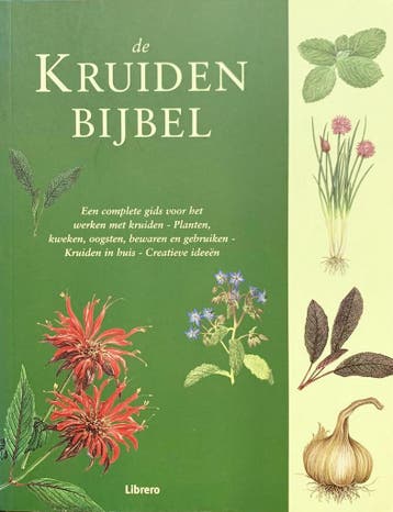 De kruidenbijbel - P. MacHoy 9789072267948, Boeken, Verzenden, Gelezen, P. MacHoy