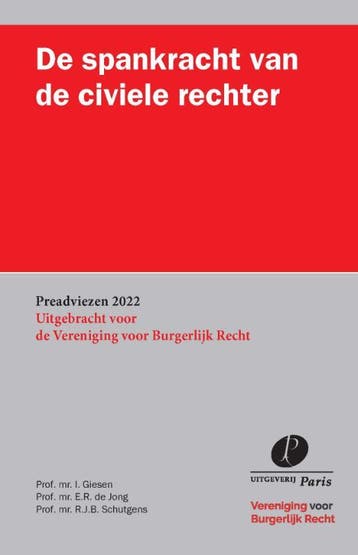 De spankracht van de civiele rechter 9789462513082, Zo goed als nieuw