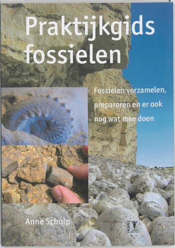 Praktijkgids fossielen - A. Schulp 9789050112031, Boeken, Verzenden, Zo goed als nieuw, A. Schulp