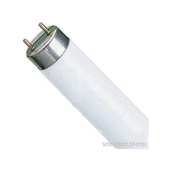 NIEUWE Osram Lumilux TL buizen 30 watt - kleur 865 (alleen p, Ophalen of Verzenden, Nieuw