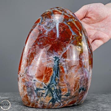 Natuurlijk agaat-versteend hout uit Indonesië – Een