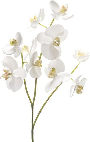 Emerald - Phalaenopsistak - Orchidee - Kunstbloem - 60 cm -, Verzenden, Nieuw