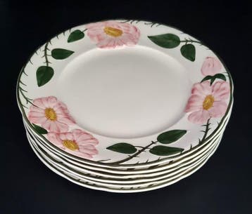 Villeroy & Boch - Bord (6) - 1.Wahl! Wild-Rose 6 x