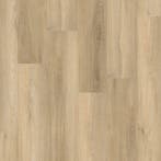 Paddington click SRC beige, Verzenden, Nieuw