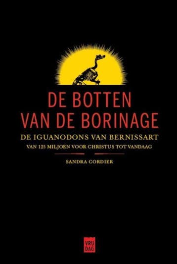 De botten van de Borinage - Sandra Cordier 9789460014871, Boeken, Verzenden, Zo goed als nieuw, Sandra Cordier
