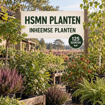 Inheemse planten kopen – 125 soorten – HSMN Planten, Ophalen of Verzenden, Overige soorten, Struik, 100 tot 250 cm