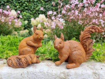 Beeldje - Pair of squirrels - IJzer
