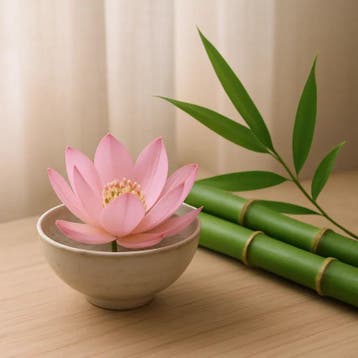 Lotus & Bamboe Navulling | Luxe Frisse Geur, Huis en Inrichting, Ophalen of Verzenden, Nieuw