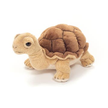 Schildpad knuffel - pluche - bruin - 20 cm, Verzenden, Nieuw