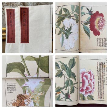 Tsunemasa Iwasaki - - Illustrated Compendium of