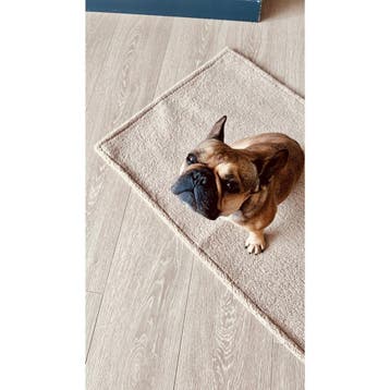 TEDDY - REISDEKEN CRÈME, Verzenden, Nieuw