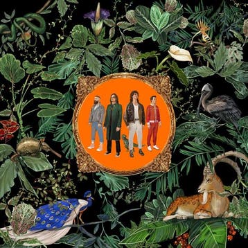lp nieuw - don broco - AMAZING THINGS (nieuw), Verzenden, Zo goed als nieuw, Overige formaten