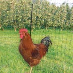 Pluimveenet groen 50 mtr / 125 cm met dubbele pen, Ophalen of Verzenden, Nieuw