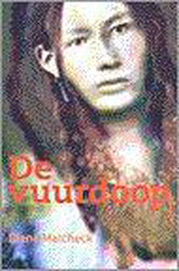 Boek: De vuurdoop - (als nieuw), Boeken, Verzenden, Zo goed als nieuw