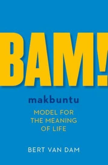 BAM! - Bert van Dam 9789492179128, Verzenden, Gelezen, Bert van Dam