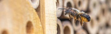 Insectenhotel nestkastje 30,5x9,5x31cm (Voor in Huis), Verzenden, Nieuw