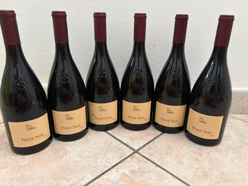 2023 Terlan, Pinot Nero - Trentino Alto Adige DOC - 6, Nieuw