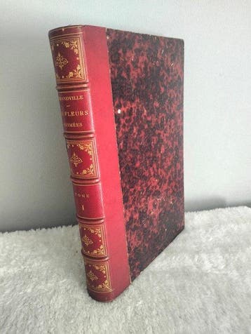 J. J. Grandville - J.J. Grandville — Les Fleurs Animées,