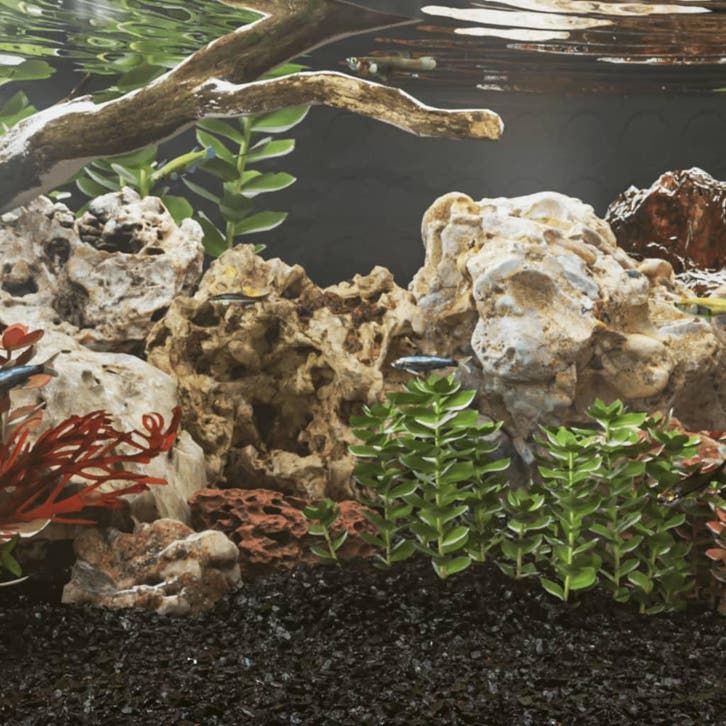 vidaXL Drakenstenen gemengde kleur 25 kg 10-30 cm, Dieren en Toebehoren, Overige Dieren-accessoires, Nieuw, Verzenden