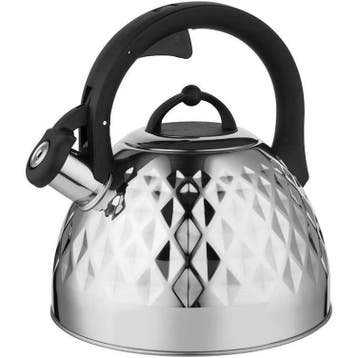 Florina Fenny fluitketel RVS zilver glanzend 2.5 Liter - ook, Ophalen of Verzenden, Nieuw